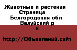  Животные и растения - Страница 20 . Белгородская обл.,Валуйский р-н